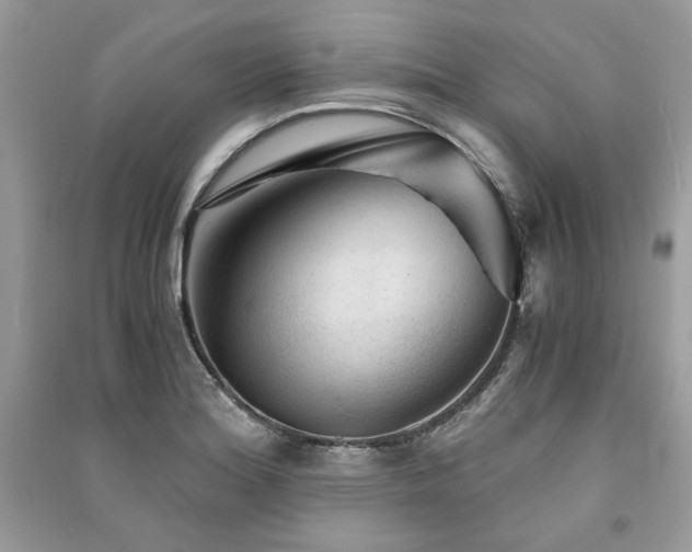 X0000091361180200708101413