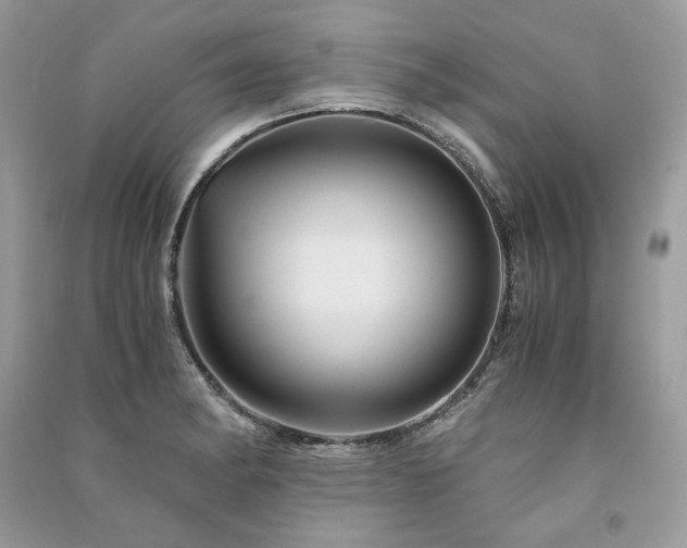 X0000091361182200708101413