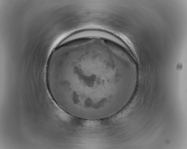 X0000091361183200708101413