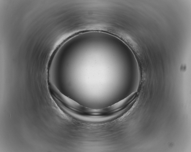 X0000091361184200708101413