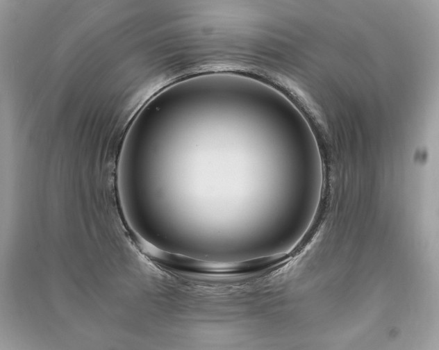 X0000091361185200708101413