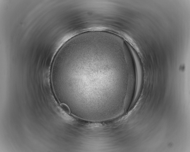 X0000091361186200708101413