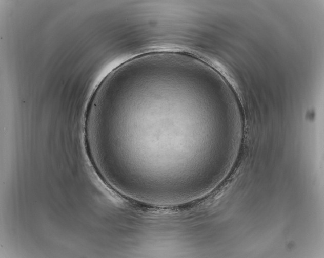 X0000091361187200708101413