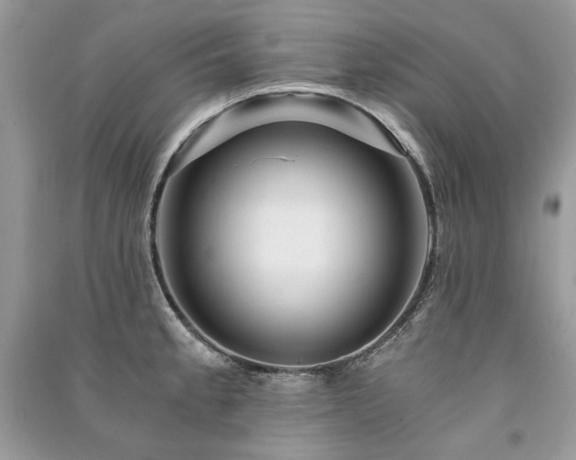 X0000091361189200708101413