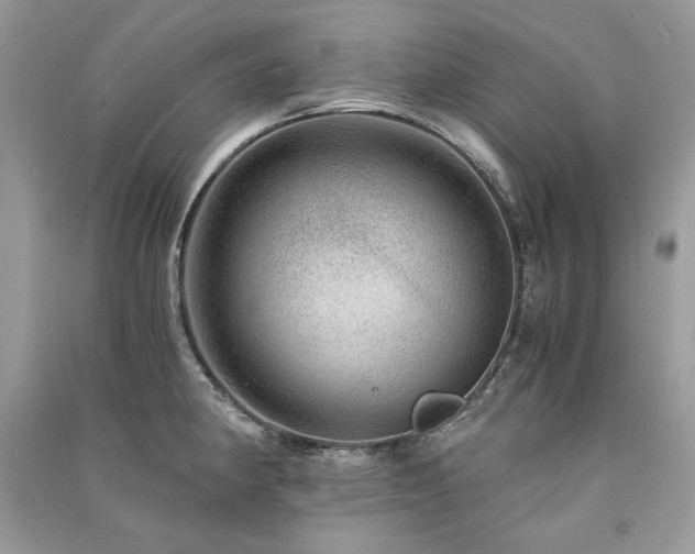X0000091361190200708101413