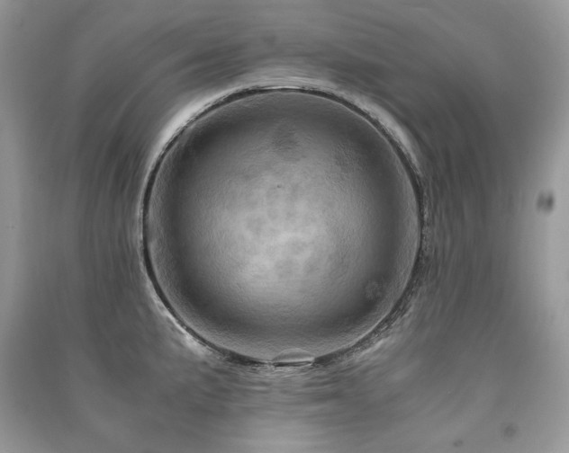 X0000091361191200708101413