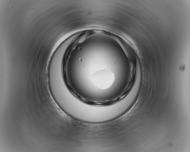 X0000091361192200708101413