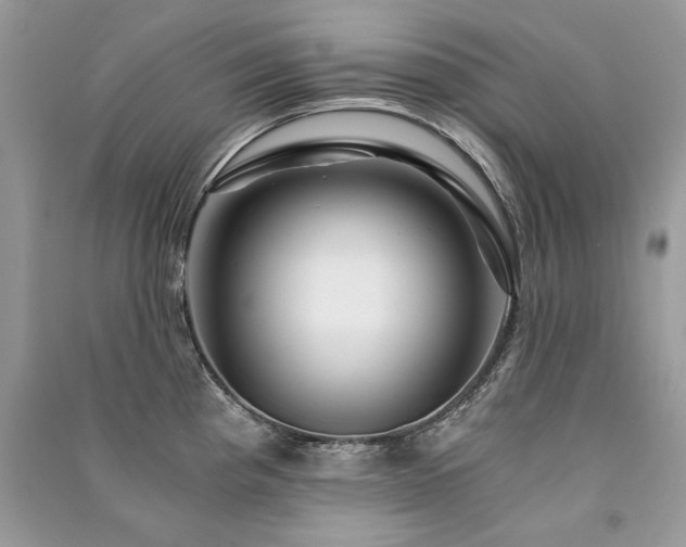 X0000091361193200708101413