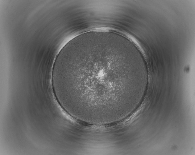 X0000091361194200708101413