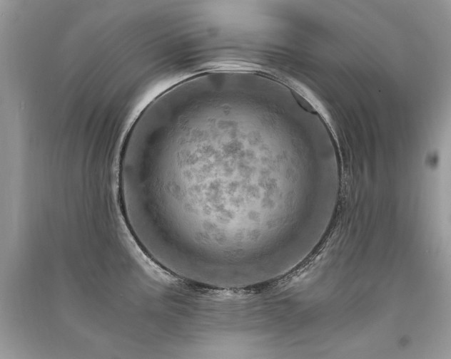 X0000091361195200708101413