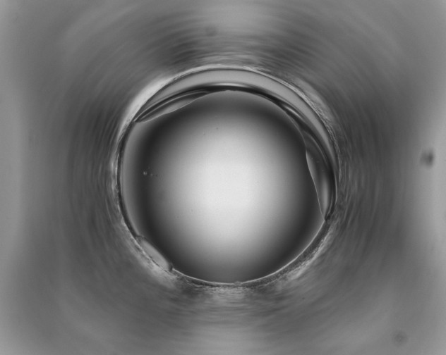 X0000091361196200708101413