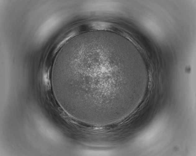 X0000091361198200708101413