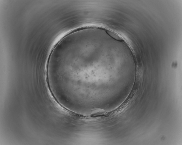 X0000091361199200708101413