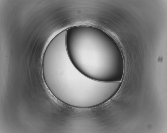 X0000091361200200708101413