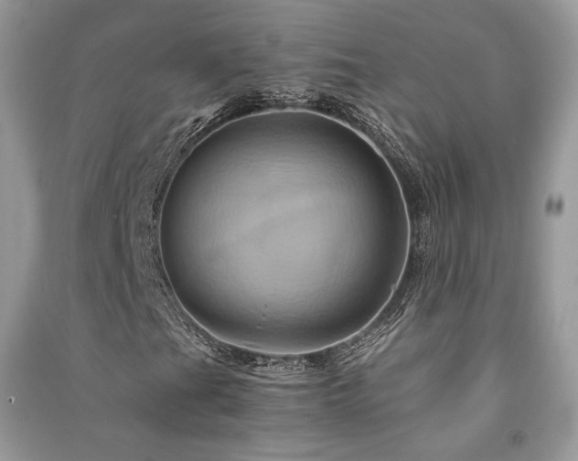 X0000091361201200708101412