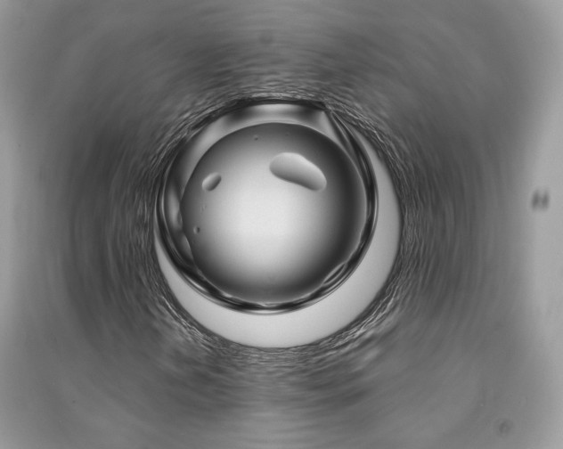 X0000091361202200708101412