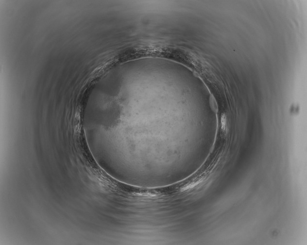 X0000091361203200708101412