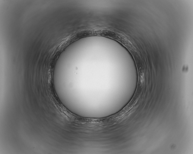 X0000091361204200708101412
