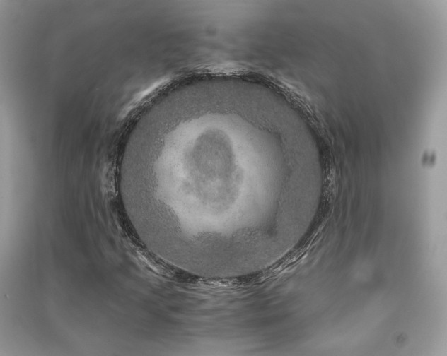 X0000091361205200708101413
