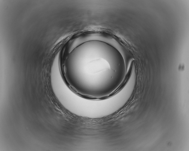 X0000091361206200708101413