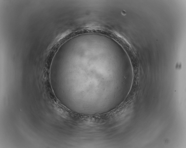 X0000091361207200708101413