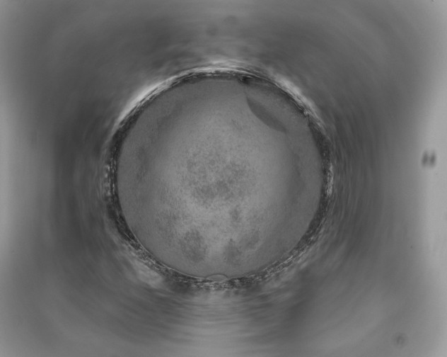 X0000091361208200708101413