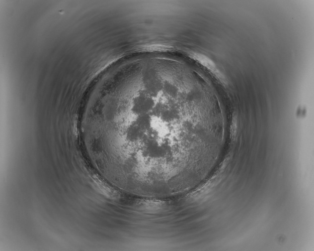 X0000091361209200708101413
