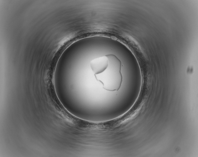 X0000091361210200708101413