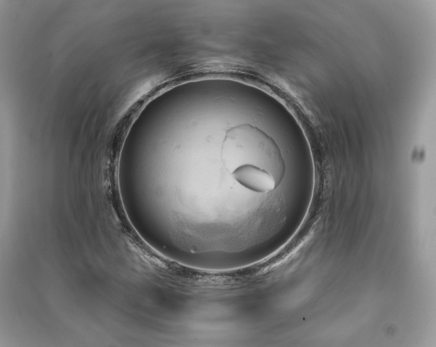 X0000091361211200708101413