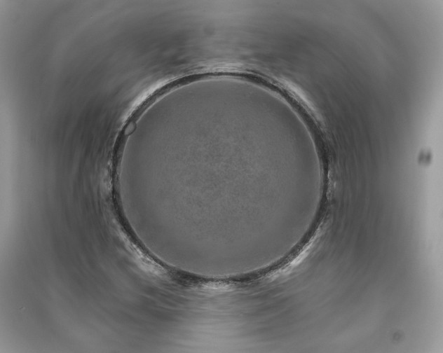 X0000091361212200708101413