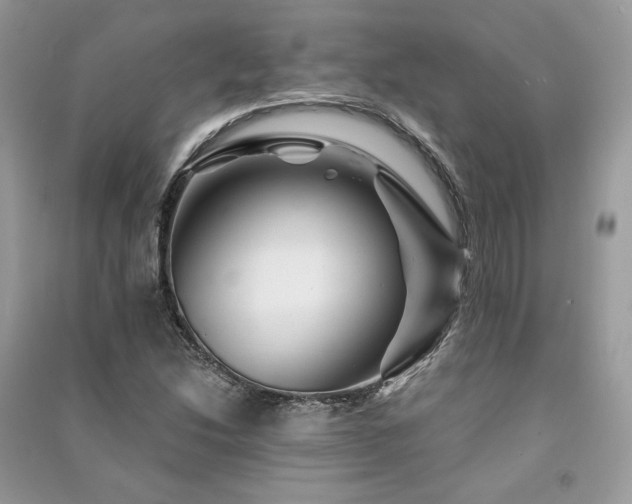 X0000091361214200708101413