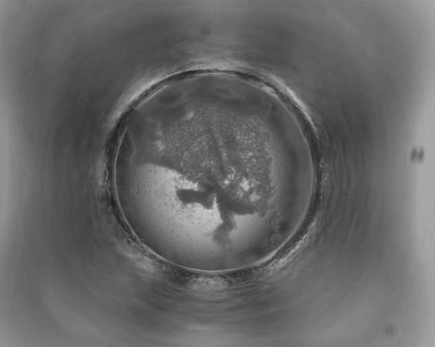X0000091361215200708101413