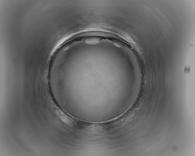 X0000091361216200708101413