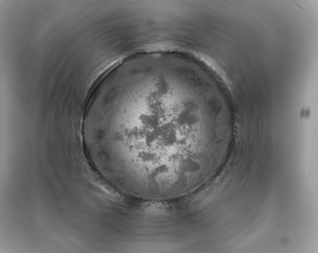 X0000091361217200708101413