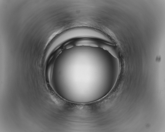 X0000091361218200708101413