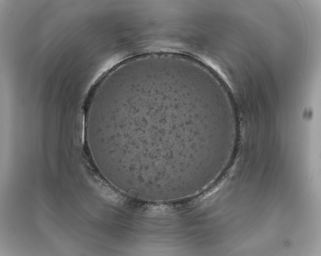 X0000091361219200708101413