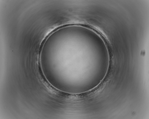 X0000091361220200708101413