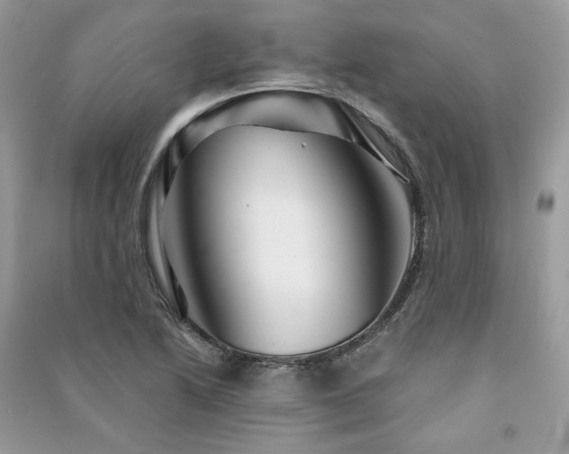 X0000091361222200708101413