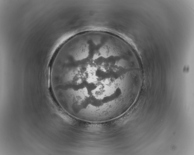 X0000091361223200708101413