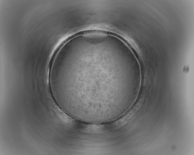 X0000091361224200708101413