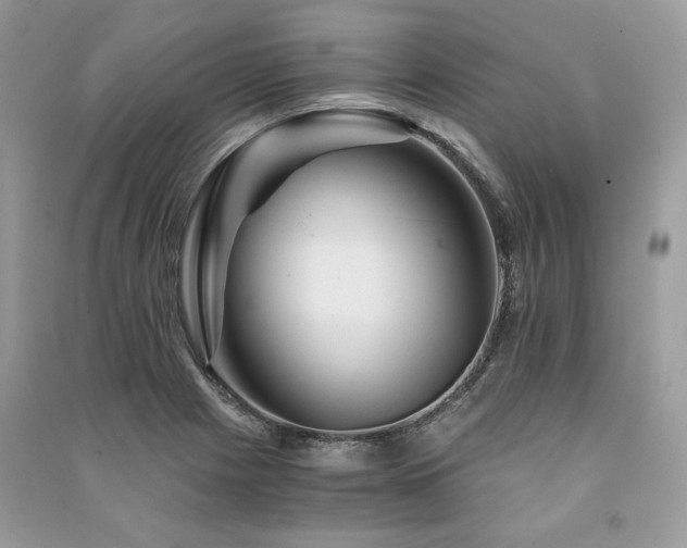 X0000091361225200708101413