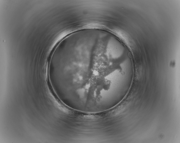 X0000091361227200708101413
