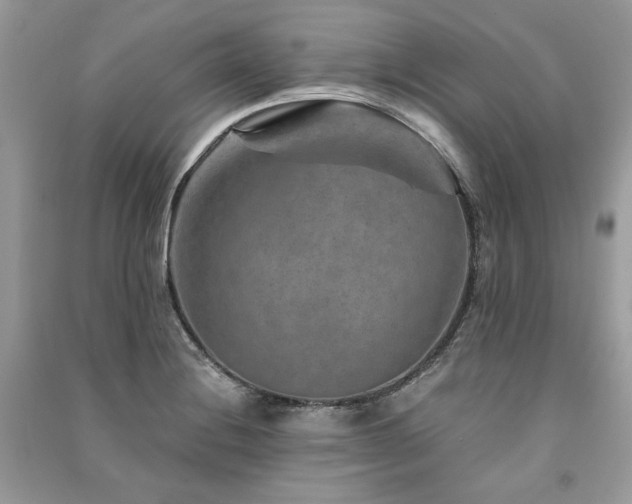 X0000091361228200708101413