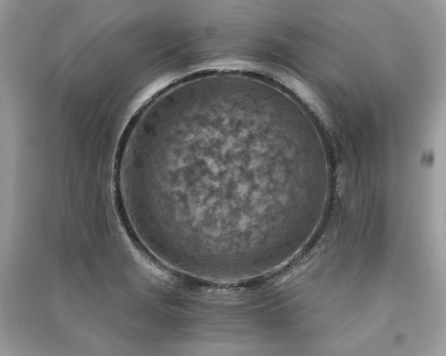 X0000091361229200708101413