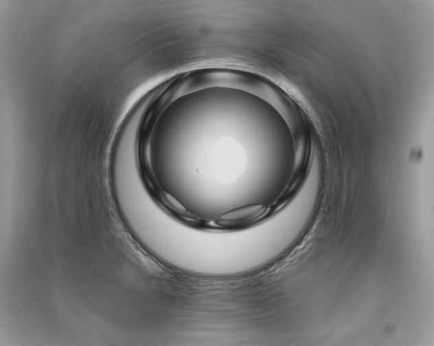 X0000091361230200708101413