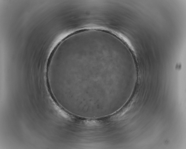 X0000091361231200708101413