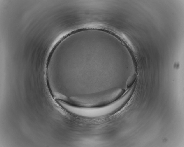 X0000091361232200708101413