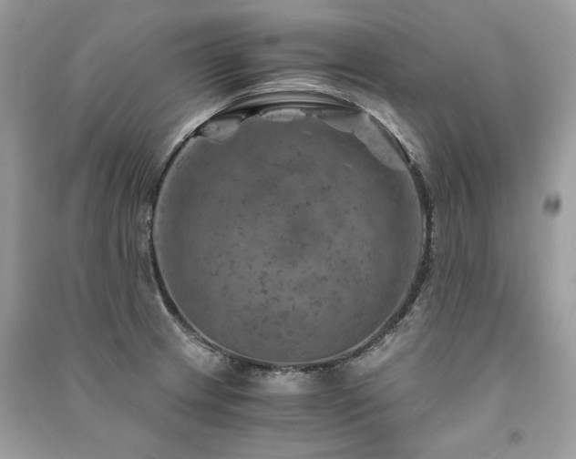X0000091361233200708101413