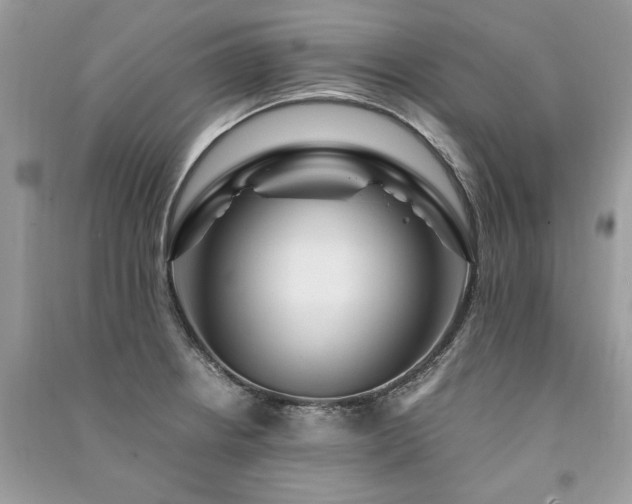 X0000091361234200708101413