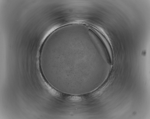 X0000091361235200708101413